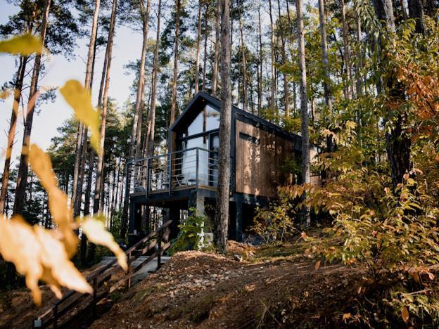 Ferienhaus W Koronach Drzew *